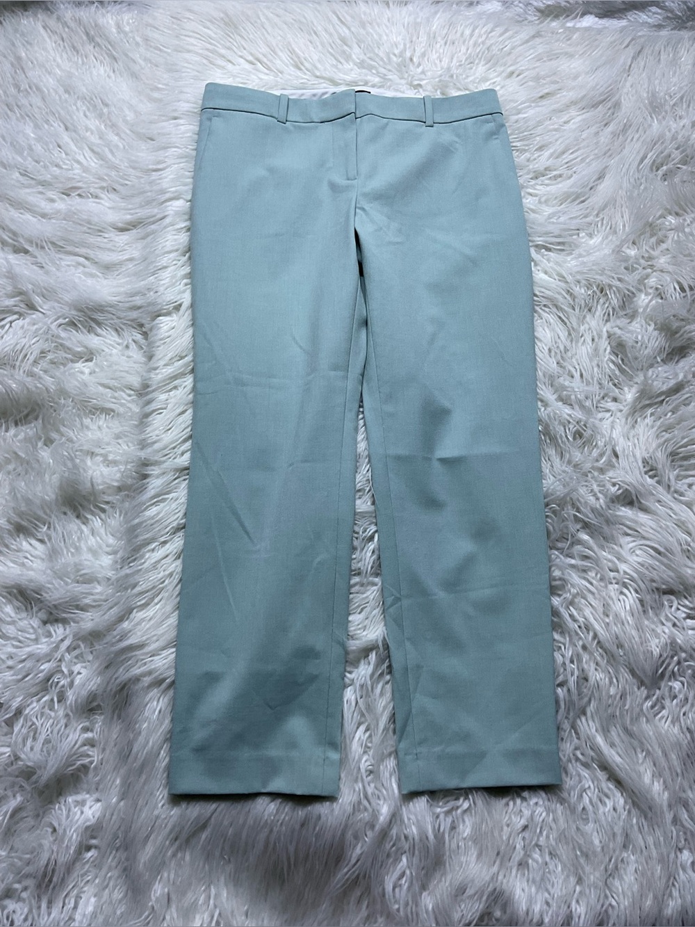 Ann Taylor Mint Trousers